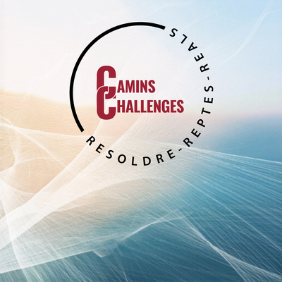 Camins Challenges