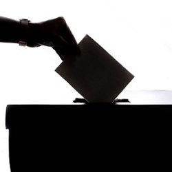 vote.jpg