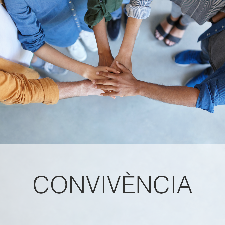 Normes de convivència de la UPC