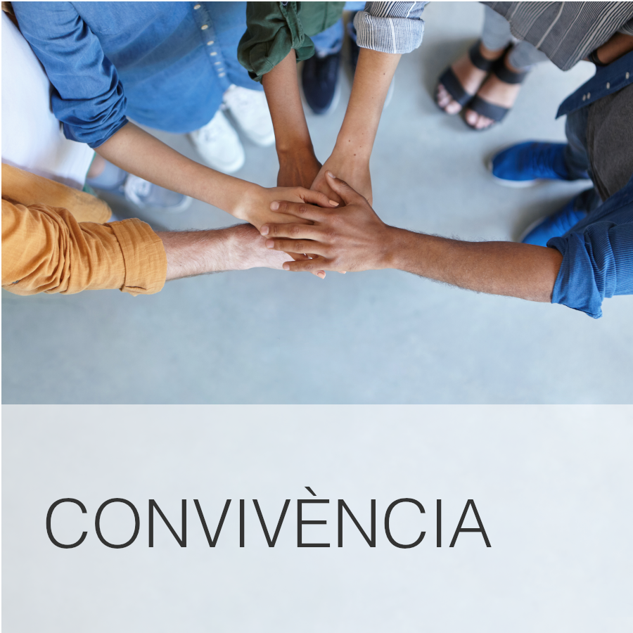convivencia.png