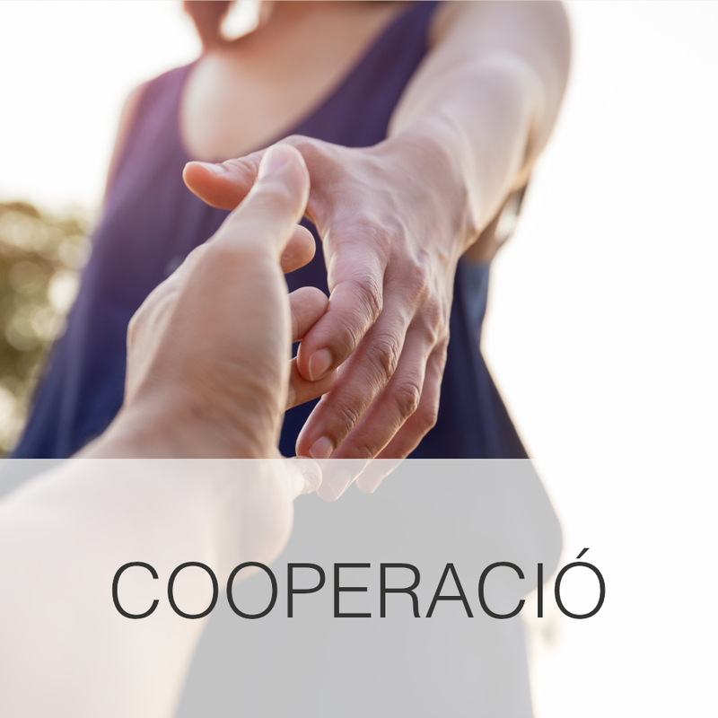 cooperació peke.jpg
