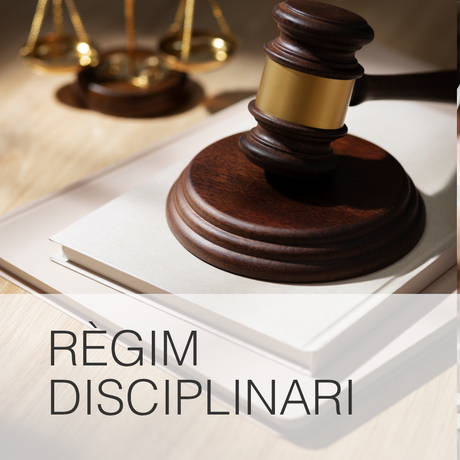 regim-disciplinari.png