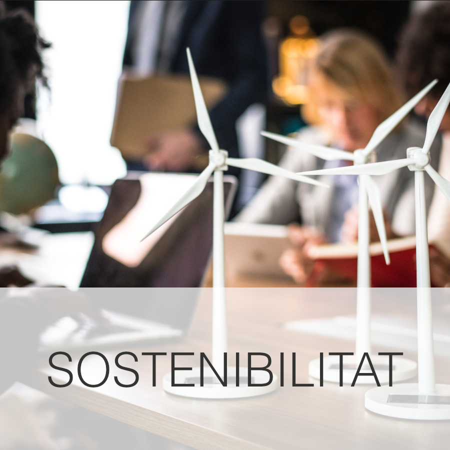 sostenibilitat peke.jpg