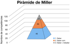 Piramide-Miller.png
