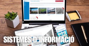 Sistemes d'informació