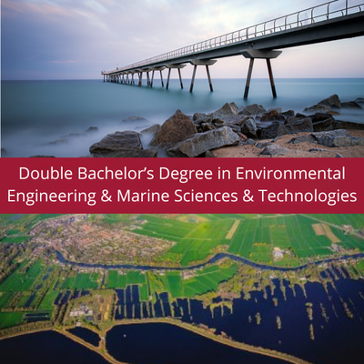 Double degree BsDEE + BsDMST