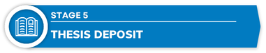 Stage 5.png