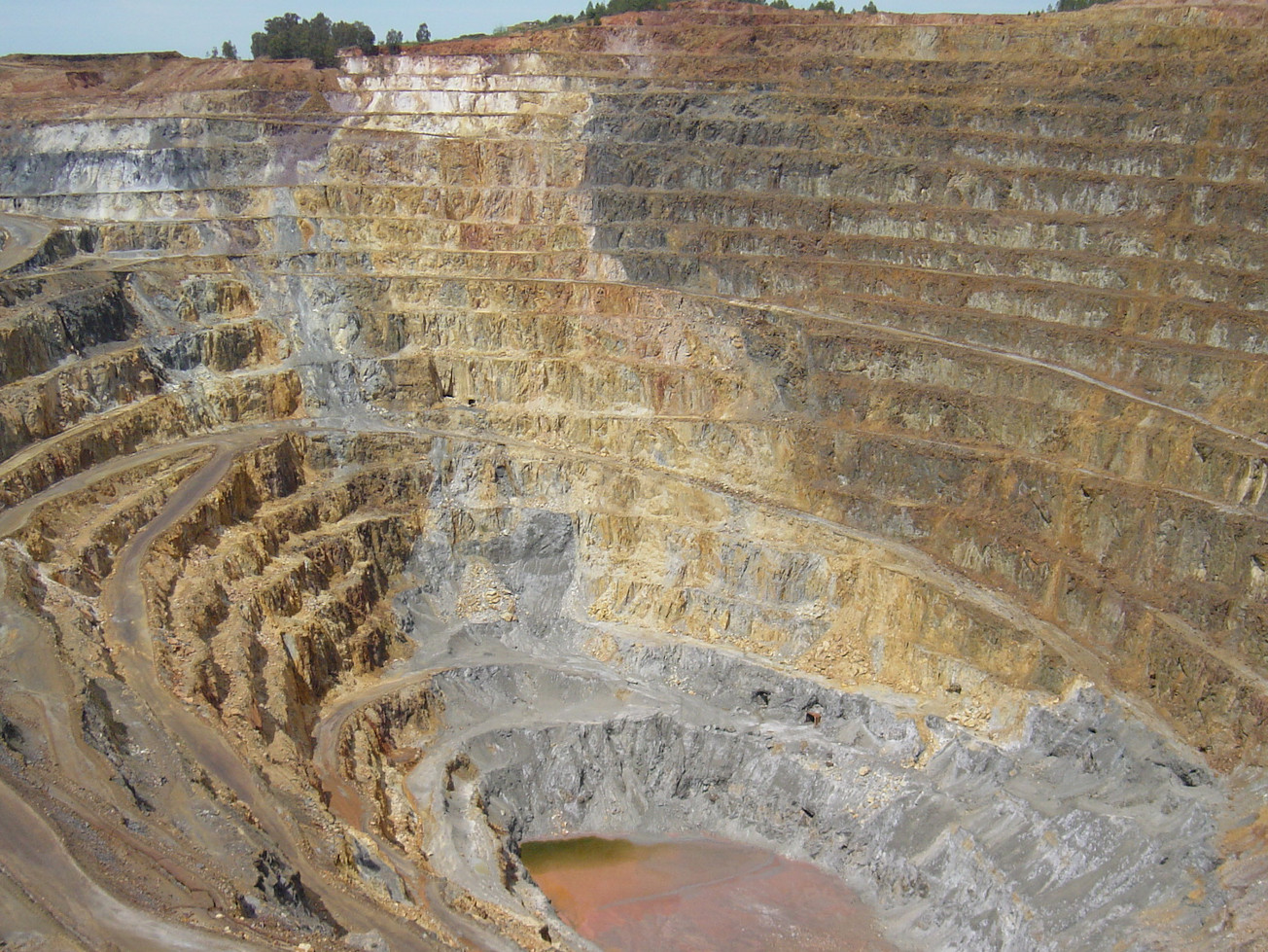 DD MECCP-MUCSTM image